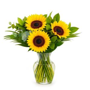 Güneşli İyi Günler Ay Çiçeği