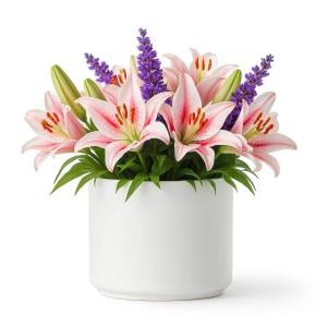 Saksıda Lilyum Karnavalı