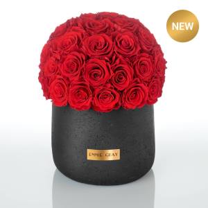 Birinci Sınıf Masif Muhteşem Sonsuzluk | Saf Kırmızı